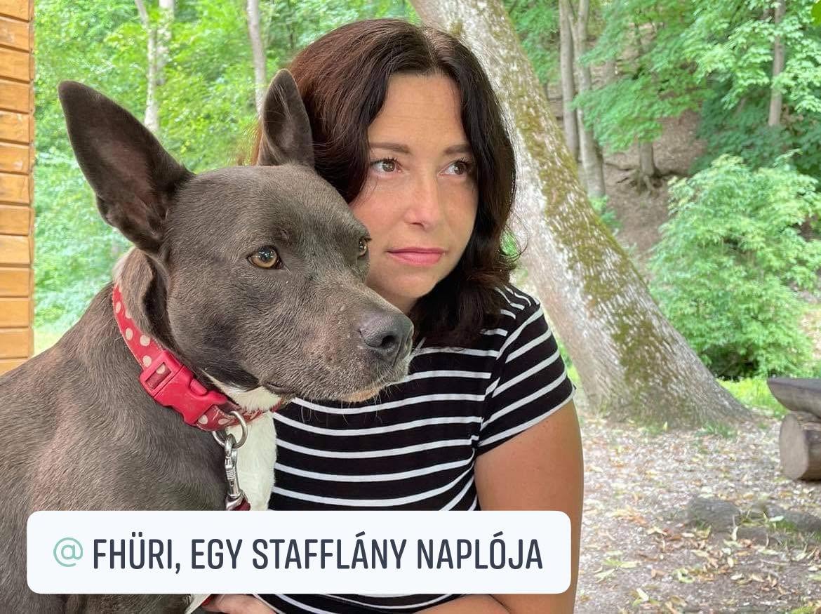 A Tappancs terápiás kutya képzésének oktatója kutyával